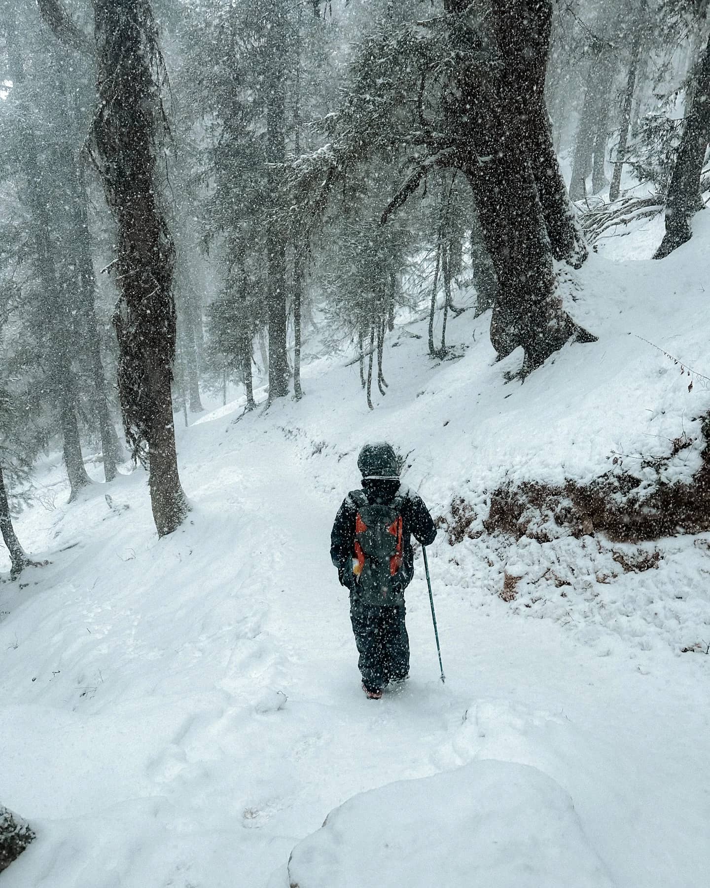 Kedarkantha Trek