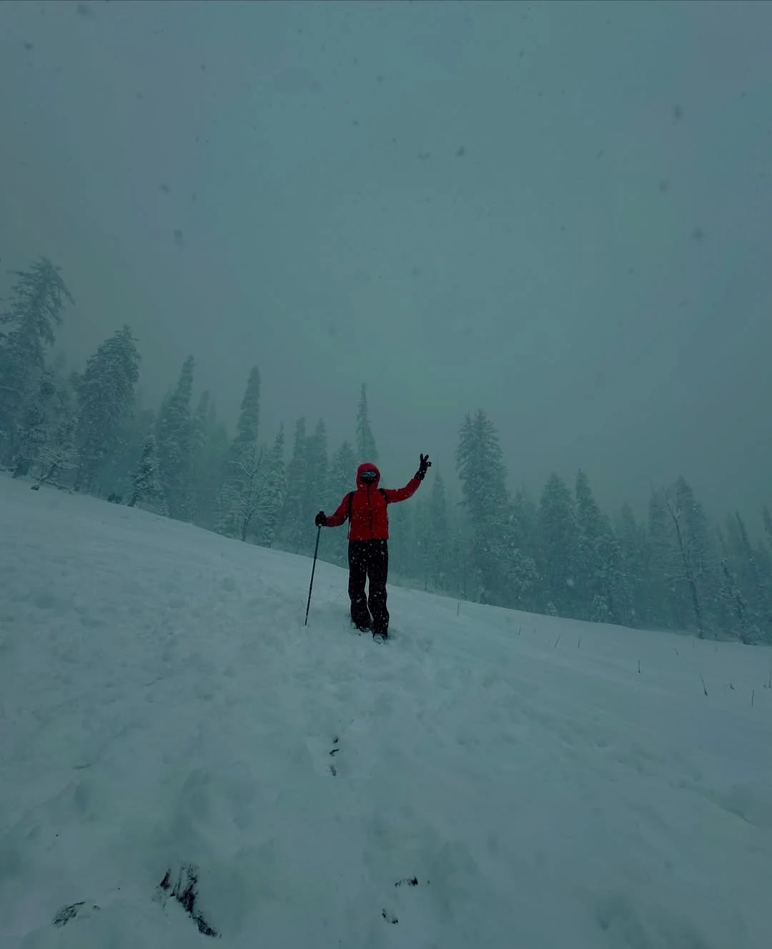 Kedarkantha Trek